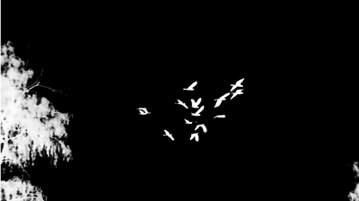 Hiraki Sawa. From Tracking 0, 2011 El video pide sitio: Muntadas e Hiraki Sawa