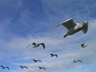 Las diez formas de convertirse en un gran líder Las diez formas de convertirse en un gran líder