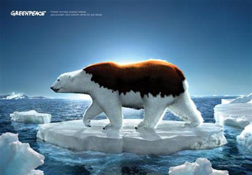 Los Osos polares y el Calentamiento global Los Osos polares y el Calentamiento global