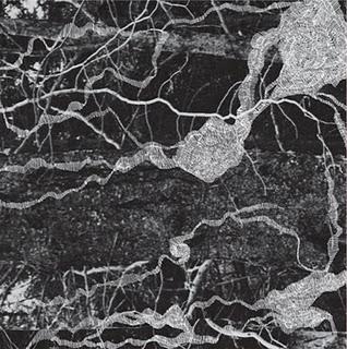 Ilyas Ahmed & Liz Harris - Visitor (Social Music Record Club,2011) Ilyas Ahmed & Liz Harris - Visitor (Social Music Record Club,2011)