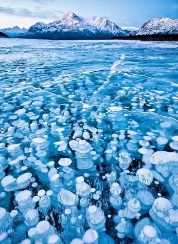Burbujas congeladas en las Montañas Rocosas Canadienses