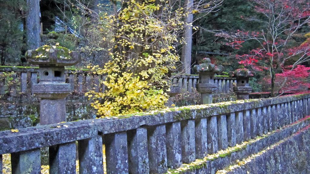 Momiji en Nikko