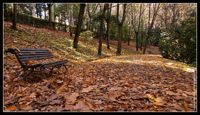 El Campo del Moro