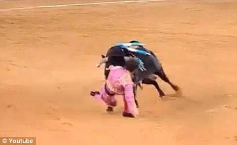 Primera aparición pública del torero Juan José Padilla.