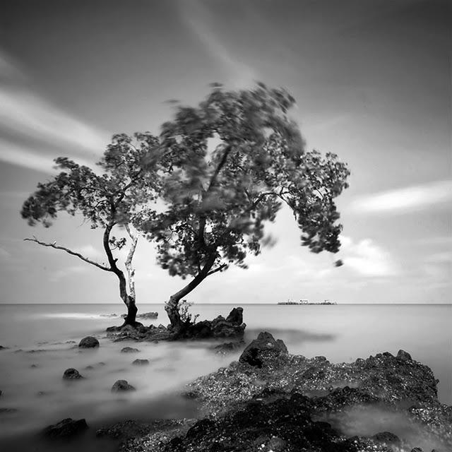 Bitácora 11-29 Bitácora 11-29