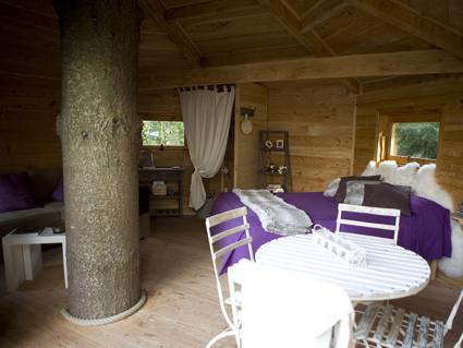 CABAÑAS EN LOS ARBOLES CABAÑAS EN LOS ARBOLES
