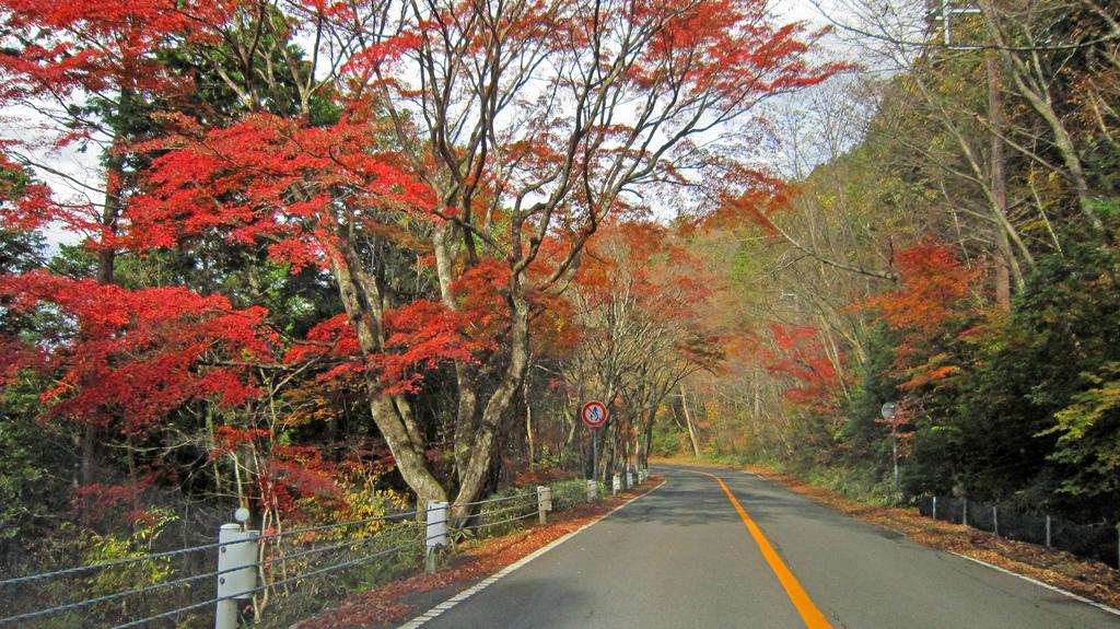 Kinugawa - Ryuokyo