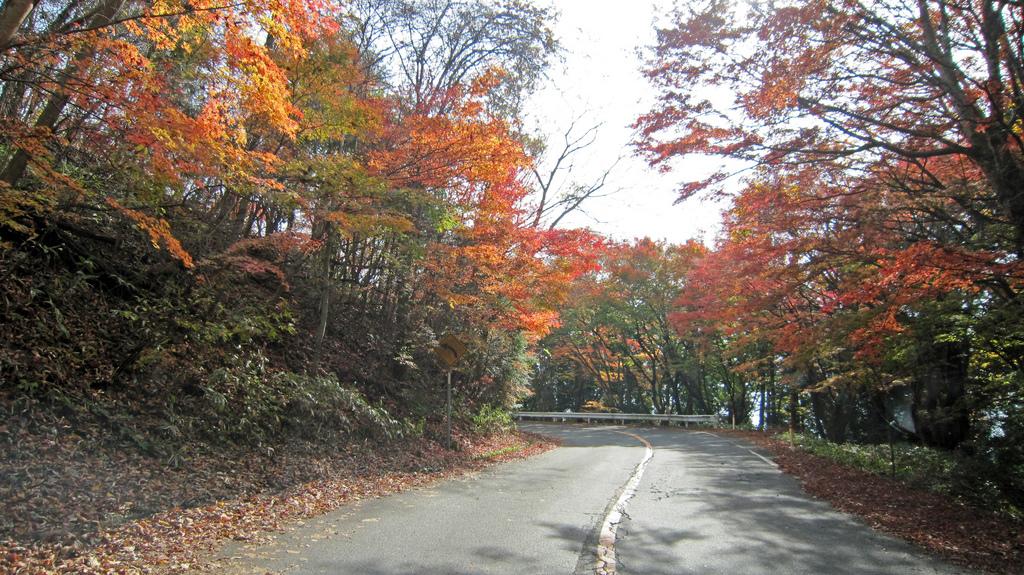 Kinugawa - Ryuokyo