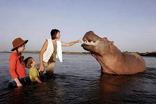 Un hipopótamo llamado África.