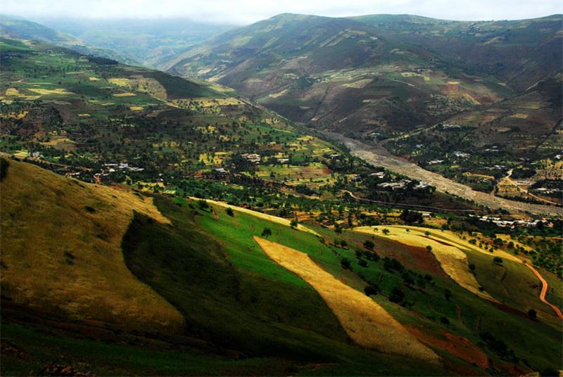 ketama-feminised2 Sin limite de bandas