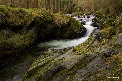 El Ríu Espinareo El Ríu Espinareo