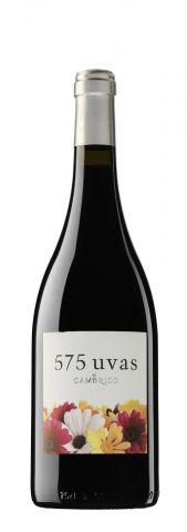 cambrico Miércoles de Vinos con Bodegas Viñas del Cámbrico 16/11/2011