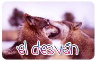 Noticias varias :) Noticias varias :)