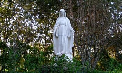 Día de la Inmaculada Concepción de María.Por qué se arma el Árbol de Navidad hoy?