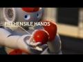 Nuevo Robot Humanoide NAO Next Gen – Aldebaran Robotics