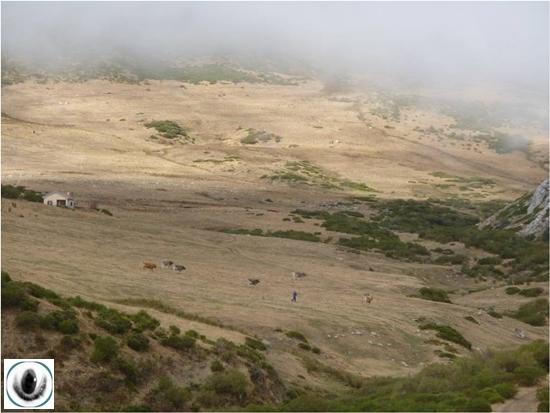 Hayedo de Lores Hayedo de Lores