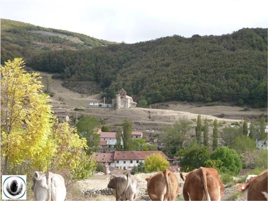 Hayedo de Lores Hayedo de Lores