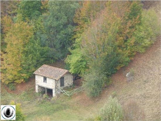 Hayedo de Lores Hayedo de Lores