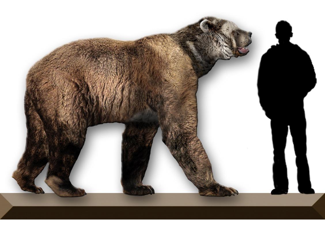 Los 10 animales extintos que podrían volver a la vida Los 10 animales extintos que podrían volver a la vida