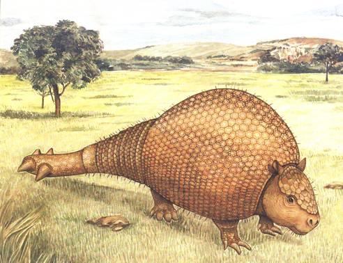 Los 10 animales extintos que podrían volver a la vida Los 10 animales extintos que podrían volver a la vida