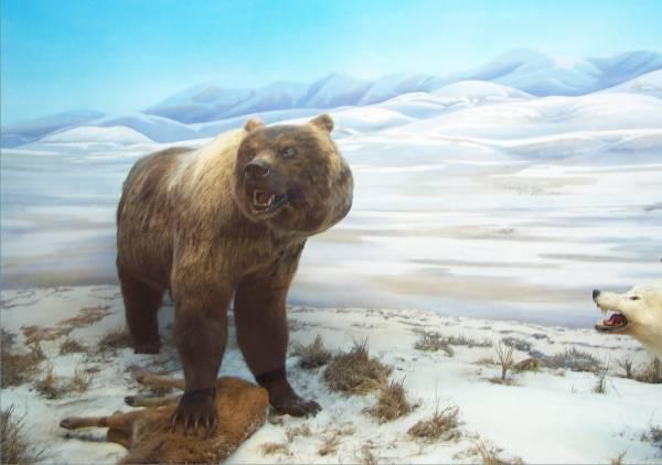 Los 10 animales extintos que podrían volver a la vida Los 10 animales extintos que podrían volver a la vida