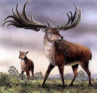 Los 10 animales extintos que podrían volver a la vida Los 10 animales extintos que podrían volver a la vida