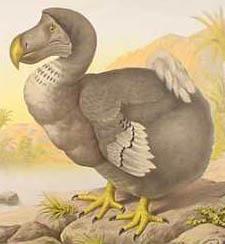 Los 10 animales extintos que podrían volver a la vida Los 10 animales extintos que podrían volver a la vida
