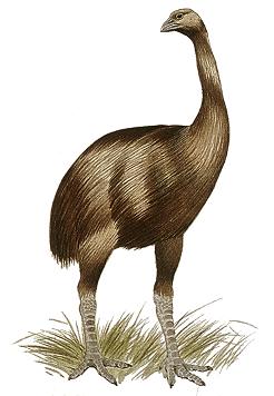 Los 10 animales extintos que podrían volver a la vida Los 10 animales extintos que podrían volver a la vida