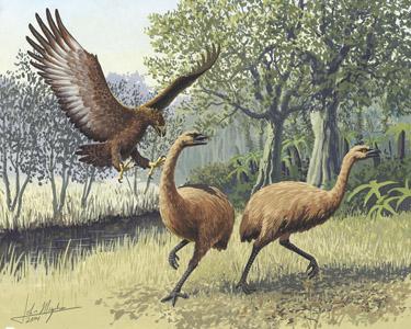Los 10 animales extintos que podrían volver a la vida Los 10 animales extintos que podrían volver a la vida