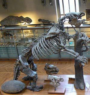 Los 10 animales extintos que podrían volver a la vida Los 10 animales extintos que podrían volver a la vida