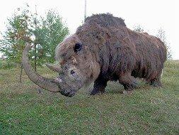 Los 10 animales extintos que podrían volver a la vida Los 10 animales extintos que podrían volver a la vida