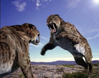 Los 10 animales extintos que podrían volver a la vida Los 10 animales extintos que podrían volver a la vida