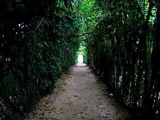 No es FÁCIL, pero es SIMPLE No es FÁCIL, pero es SIMPLE