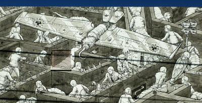 Liquen en Miami Liquen en Miami