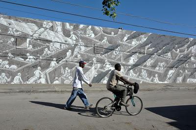 Liquen en Miami Liquen en Miami