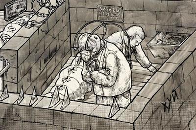 Liquen en Miami Liquen en Miami