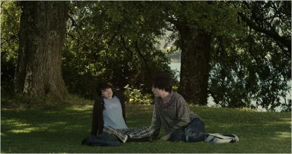 Bonsái, Chile 2011 Bonsái, Chile 2011