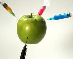 Transgénicos o alimentos genéticamente modificados Transgénicos o alimentos genéticamente modificados