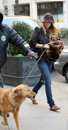 ¿Qué se pone Blake Lively para pasear a sus perros?