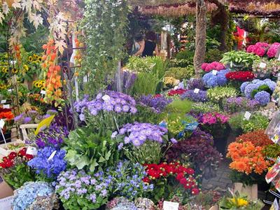 El mercado de flores de Ámsterdam