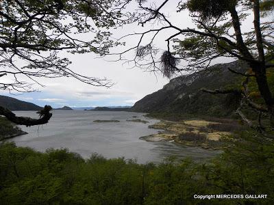ARGENTINA: EL TREN DEL FIN DEL MUNDO ARGENTINA: EL TREN DEL FIN DEL MUNDO