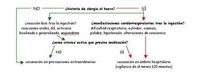 ALGORITMO PARA VACUNACION DE LA TRIPLE VÍRICA  EN PERSONA ALÉRGICA AL HUEVO