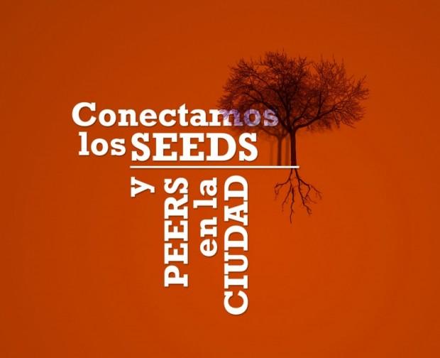 conectamos Pueblo2Pueblo. Laboratorio de estrategias P2P (México)