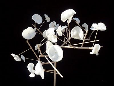 Livingstones, un diseño responsable y sostenible Livingstones, un diseño responsable y sostenible