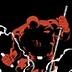 Y seguimos pintando… DAREDEVIL_FATHER_1_Joe_Quesada.jpg