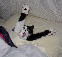 Si tu dia transcurre así: Si tu dia transcurre así: