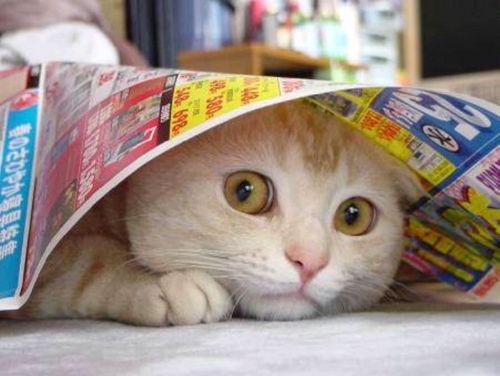 Si tu dia transcurre así: Si tu dia transcurre así: