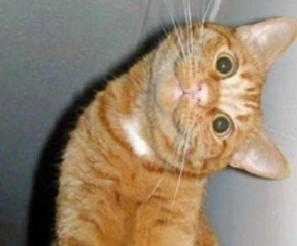 Si tu dia transcurre así: Si tu dia transcurre así: