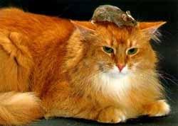 Si tu dia transcurre así: Si tu dia transcurre así: