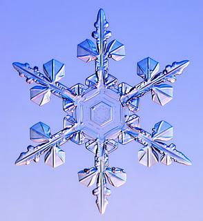 Blanca Navidad fractal. Cristales de nieve.